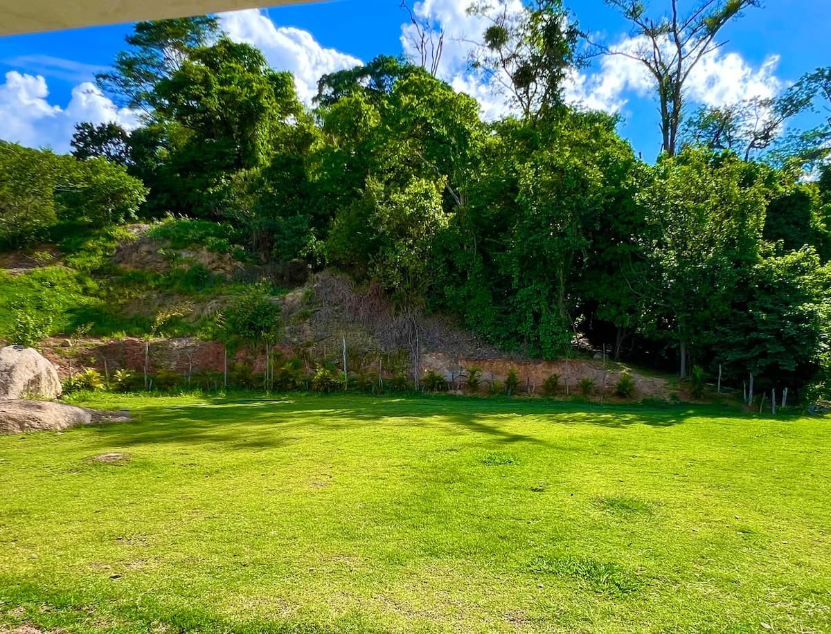 Área gramada reservada em meio à natureza abundante